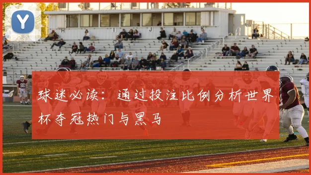 球迷必读：通过投注比例分析世界杯夺冠热门与黑马