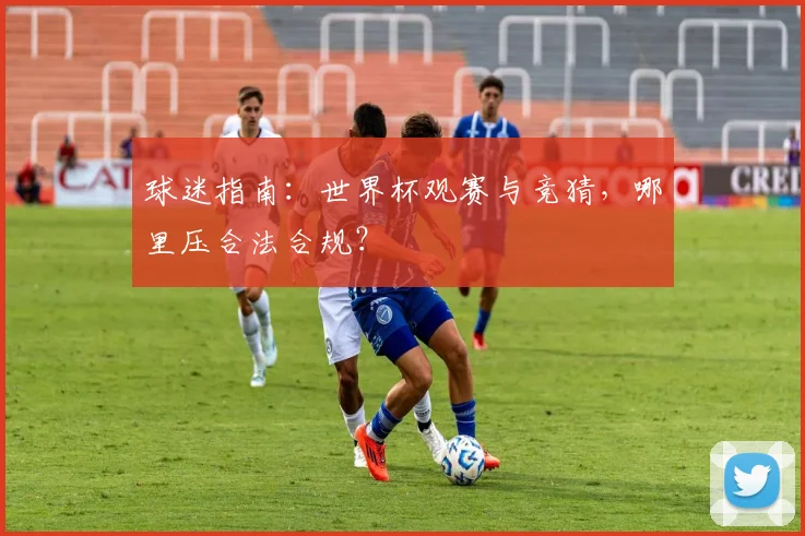 球迷指南：世界杯观赛与竞猜，哪里压合法合规？