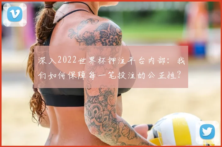 深入2022世界杯押注平台内部:我们如何保障每一笔投注的公正性?