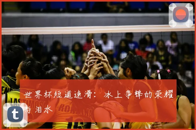 世界杯短道速滑：冰上争锋的荣耀与泪水