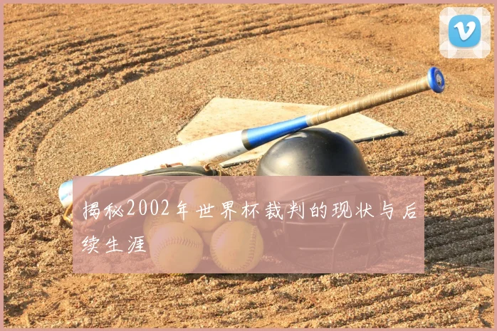 揭秘2002年世界杯裁判的现状与后续生涯