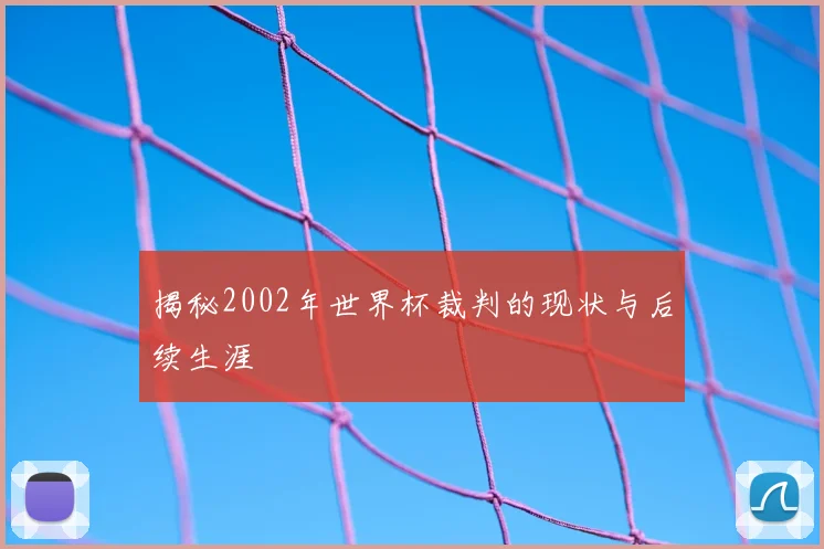 揭秘2002年世界杯裁判的现状与后续生涯