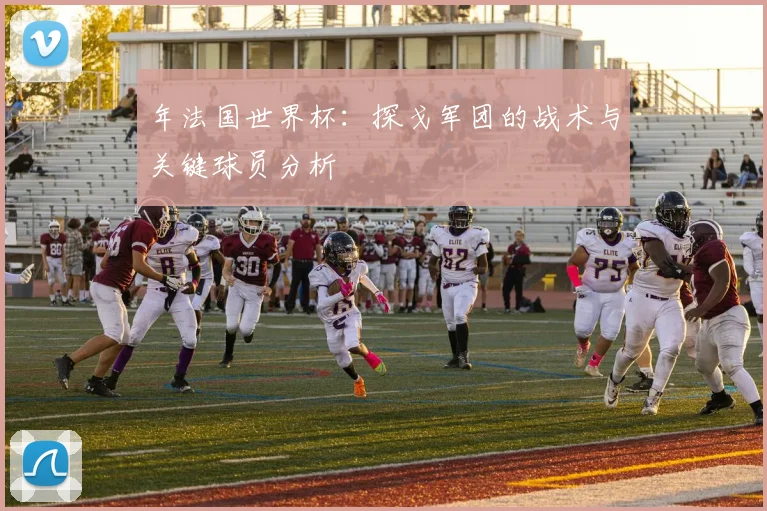 年法国世界杯：探戈军团的战术与关键球员分析