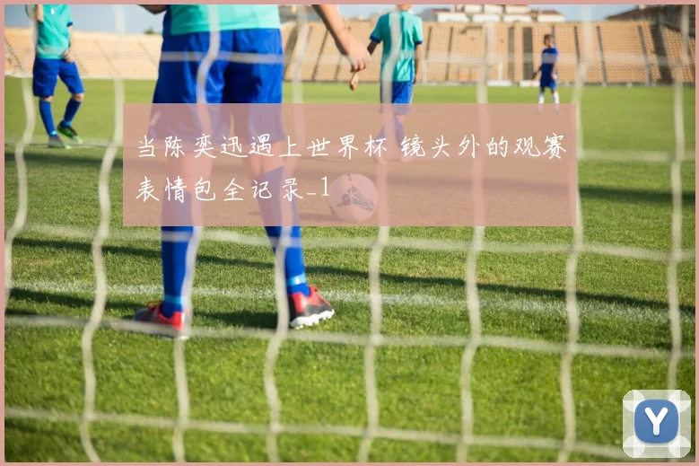 当陈奕迅遇上世界杯 镜头外的观赛表情包全记录_1